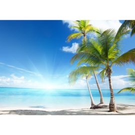 Fotobehang poster 2444 strand zon zee paradijs palm