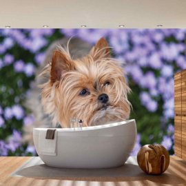 Fotobehang poster 4504 dieren hond yorkshire terrier bloemen