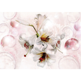 Fotobehang poster 2690 bloemen stamper roze