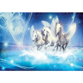 Fotobehang poster 1077 dieren pegasus paarden met vleugels blauw