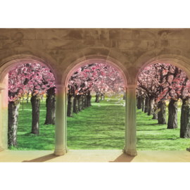 Fotobehang poster 1301 bloemen kers uitzicht op boomgaard bogen en pilaren