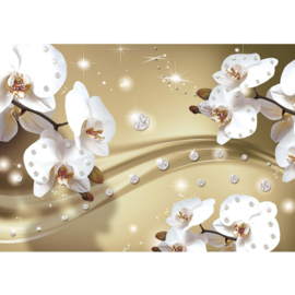 Fotobehang poster 0686 orchidee wit diamant beige