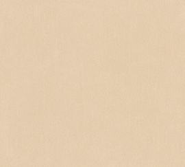 AS 383723 uni licht beige