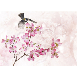 Fotobehang poster 2691 dieren koolmees bloemen roze