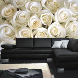 Fotobehang poster 0184 bloemen rozen roos wit