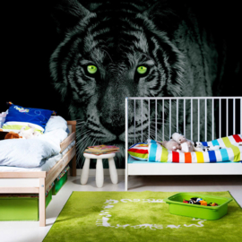 Fotobehang poster 0425 dieren tijger met groene ogen