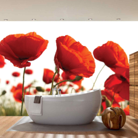 Fotobehang poster 2337 bloemen klaproos rood