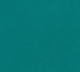 AS 383624 uni turquoise