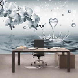 Fotobehang poster 1772 water hart orchidee bloemen