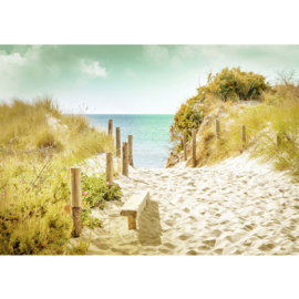 Fotobehang poster 4584 duinen strand