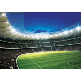 Fotobehang poster 0939 voetbal kinderkamer sport stadion