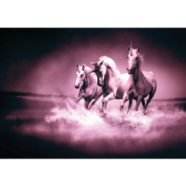 Fotobehang poster 1017 dieren eenhoorn paarden unicorn paars