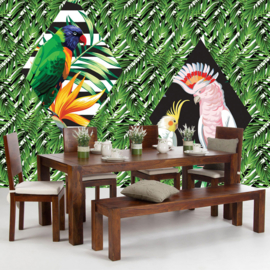 Fotobehang poster 4360 vogel dieren papegaai