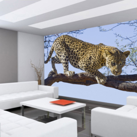 Fotobehang poster 3117 dieren luipaard roofdier tijger