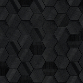 Z12825 zwart grafisch hexagon