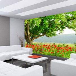 Fotobehang poster 0090 bloemen papavervelden rood