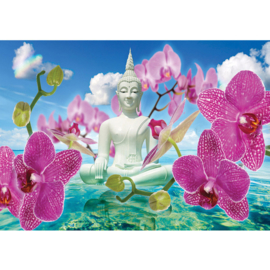 Fotobehang poster 0589 bloemen orchidee roze boeddha water