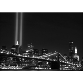 Fotobehang 0707 USA New York tower light zwart wit brug