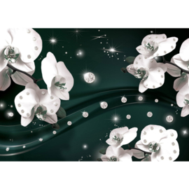 Fotobehang poster 0682 orchidee wit diamant groen