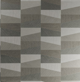 26552 Polygon bruin grijs grafisch