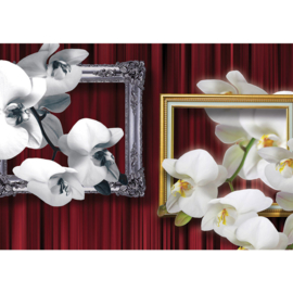Fotobehang poster 1216 bloemen orchidee schilderijlijsten