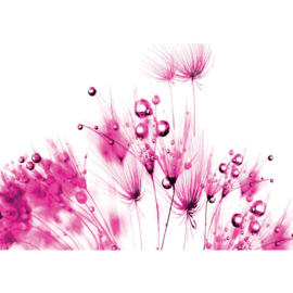 Fotobehang poster 0795 bloemen planten roze wit