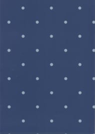 67105-2 stippen blauw grijs