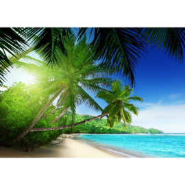 Fotobehang 0002 strand palmboom 350 x 245