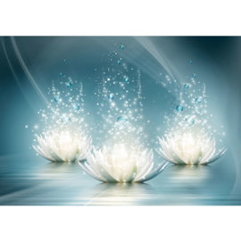 Fotobehang poster 2692 bloemen waterlelie bubbels bellen