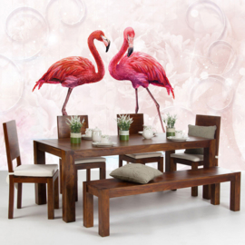 Fotobehang poster 3261 dieren vogels flamingo roze