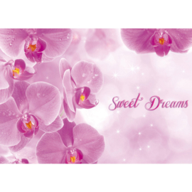 Fotobehang poster 1685 bloemen orchidee roze sweet dreams