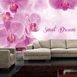 Fotobehang poster 1685 bloemen orchidee roze sweet dreams