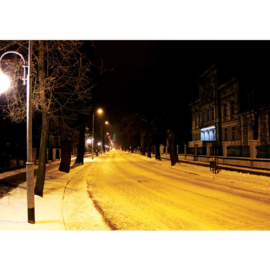Fotobehang poster 2972 straat lantaarn sneeuw nacht