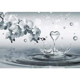 Fotobehang poster 1772 water hart orchidee bloemen