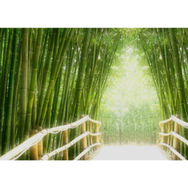 Fotobehang poster 0002 bamboo bamboe bos brug natuur