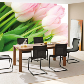 Fotobehang poster 1110 bloemen tulpen roze