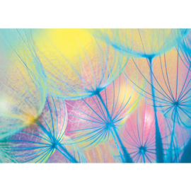Fotobehang poster 1071 bloemen paardenbloem multicolor