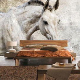 Fotobehang poster 2206 dieren paard schimmel wit