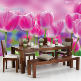 Fotobehang poster 3562 bloemen tulpen roze