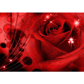 Fotobehang poster 0987 bloemen rozen roos rood