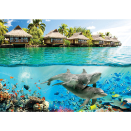 Fotobehang poster 1888 dieren dolfijn bali onderwaterwereld