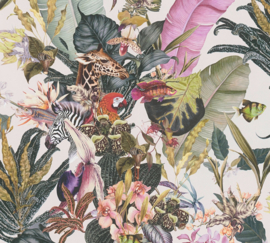 AS 381763 jungle wit