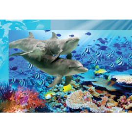 Fotobehang  poster 2092 dieren dolfijn onderwater zee koraal vissen
