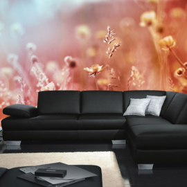 Fotobehang poster 0198 bloemen weide