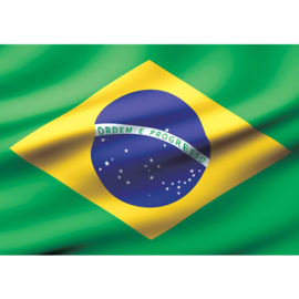 Fotobehang 2935 Brazilië vlag