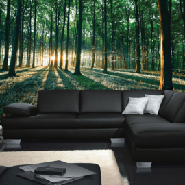 Fotobehang poster 0641 bomen bos gras groen