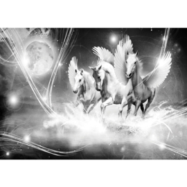 Fotobehang poster 1079 dieren pegasus paarden met vleugels grijs