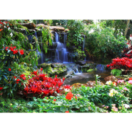 Fotobehang poster 0448 bomen waterval planten bos