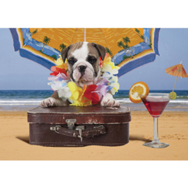 Fotobehang poster 3292 dieren hond puppy cocktail koffer strand
