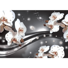 Fotobehang poster 0685 orchidee wit diamant grijs